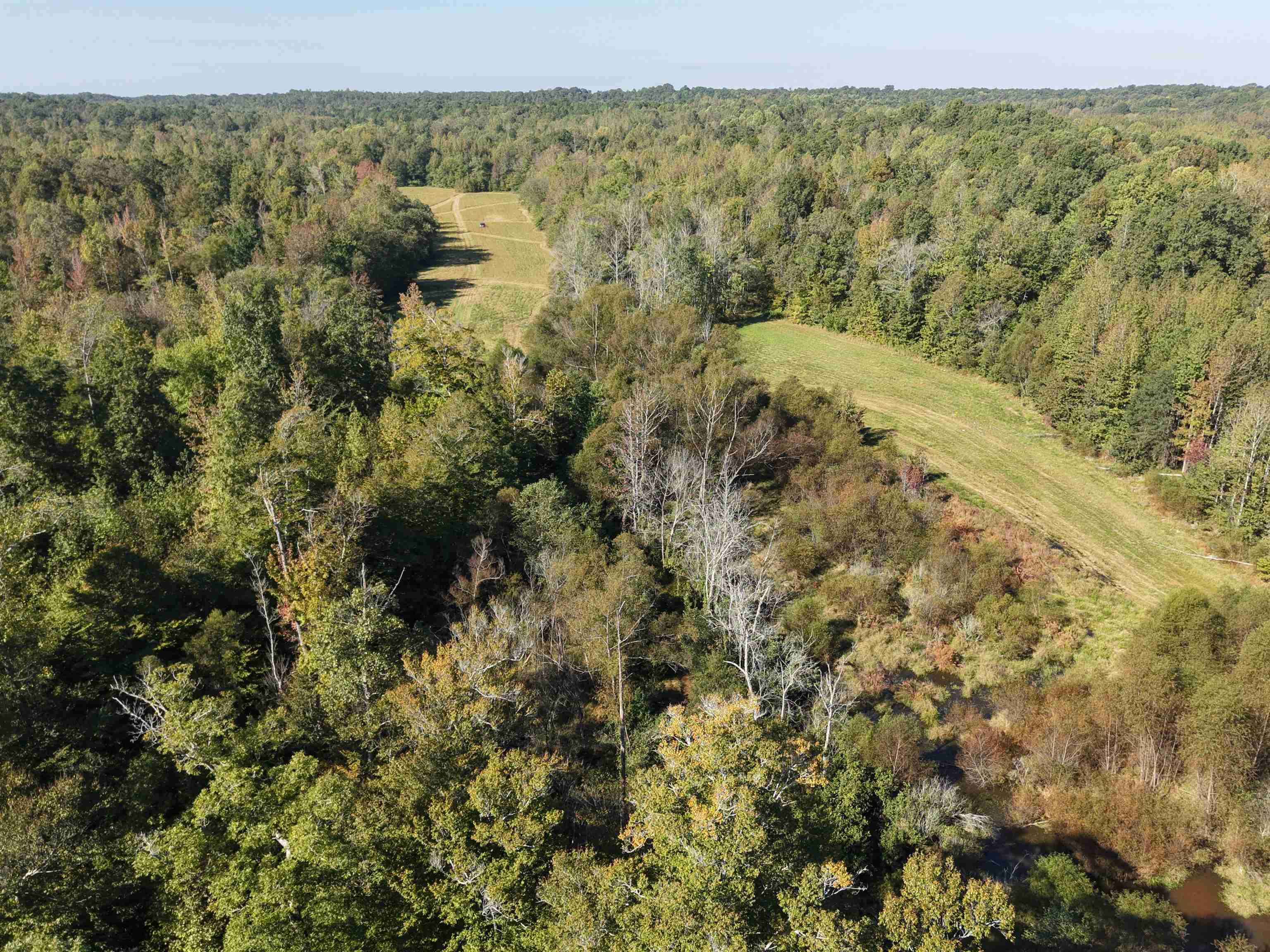 0 Burgess Loop Middleton, TN 38052 - Photo 23 of 29