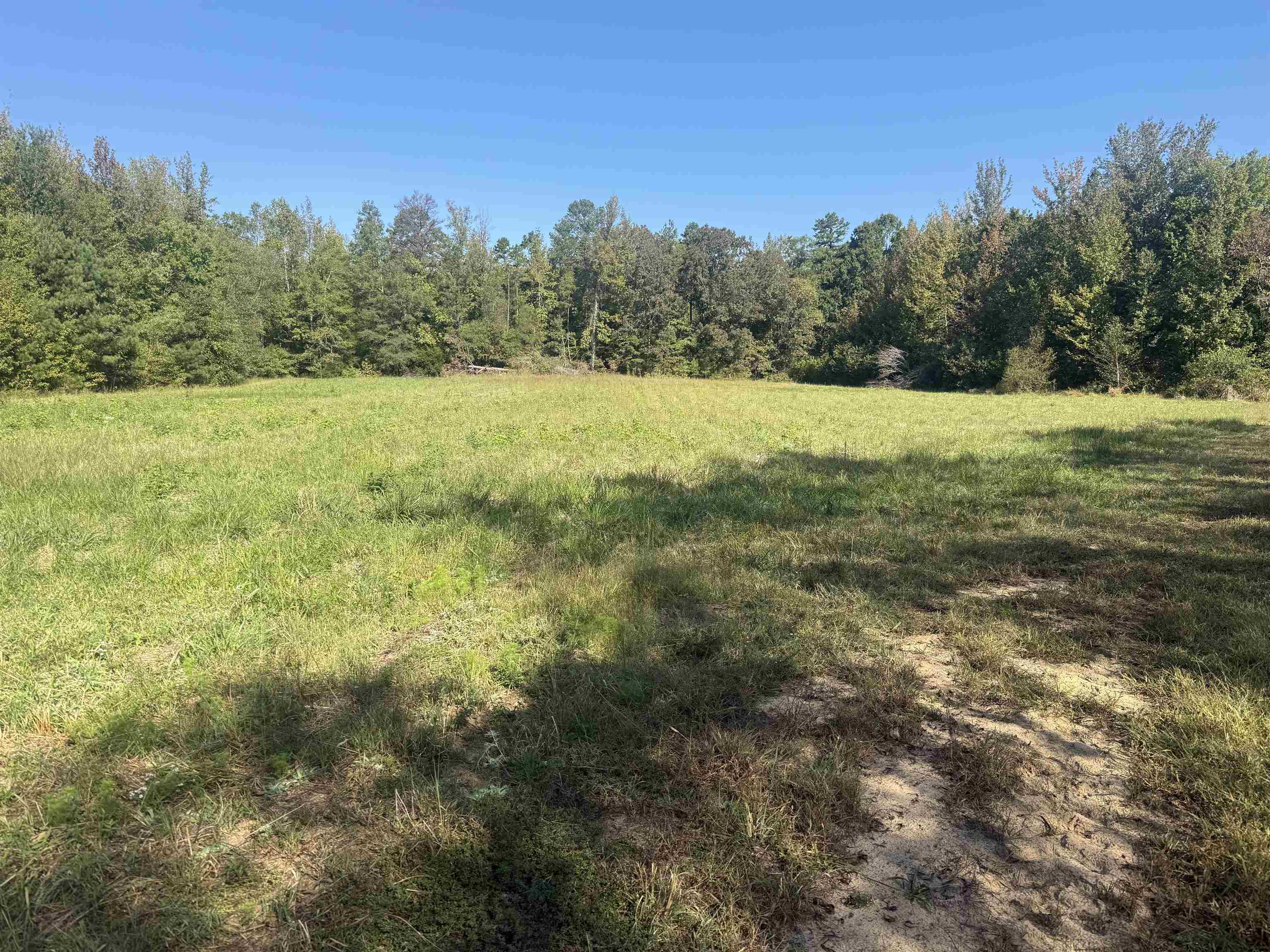 0 Burgess Loop Middleton, TN 38052 - Photo 27 of 29 a view of a field with trees in the background