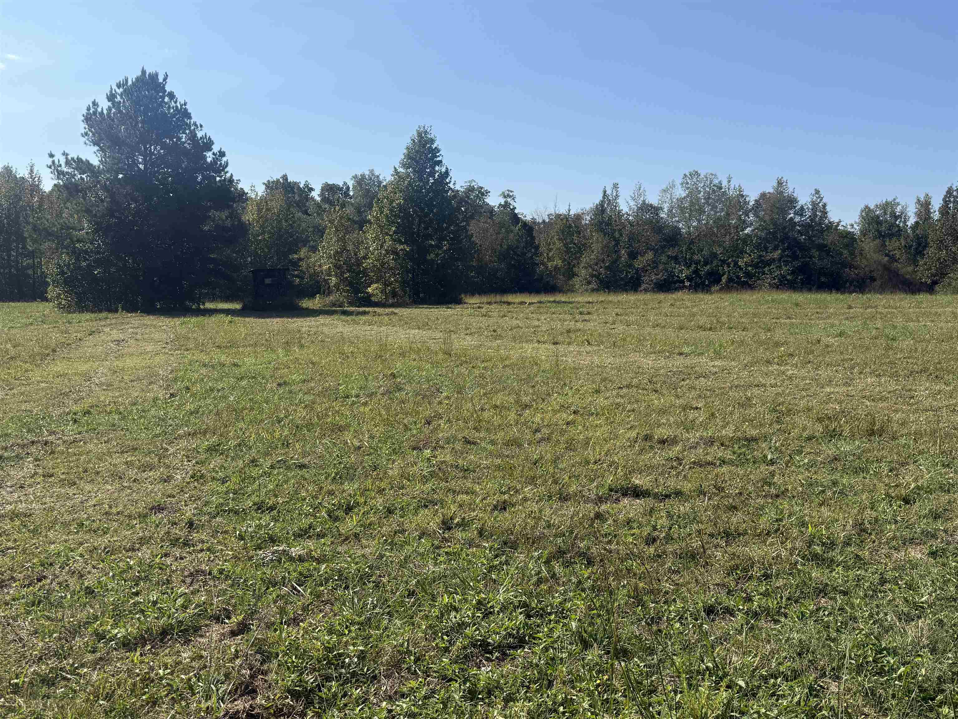 0 Burgess Loop Middleton, TN 38052 - Photo 28 of 29 a view of a field with trees in the background