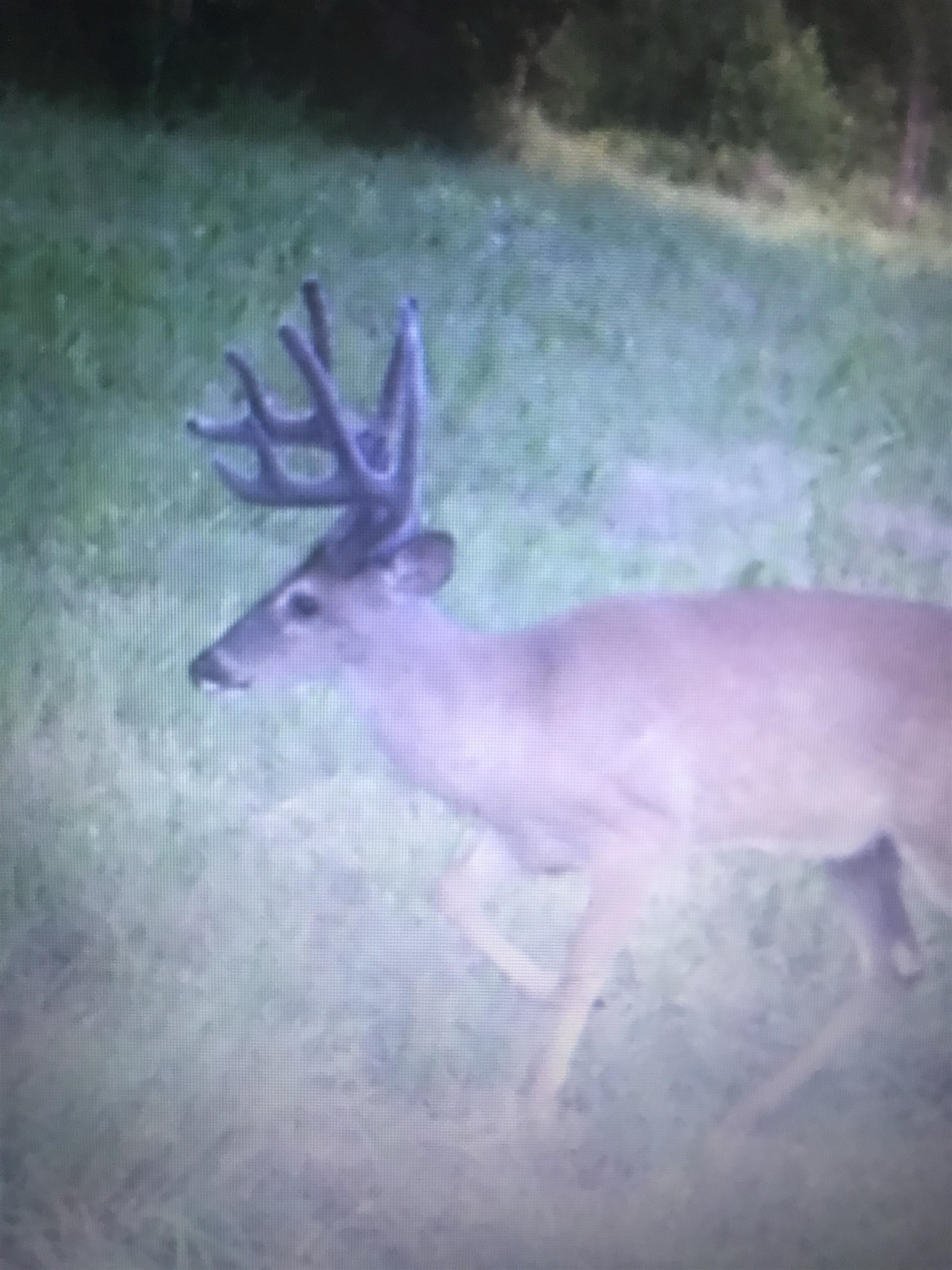 0 Burgess Loop Middleton, TN 38052 - Photo 28 of 29 a view of a yard