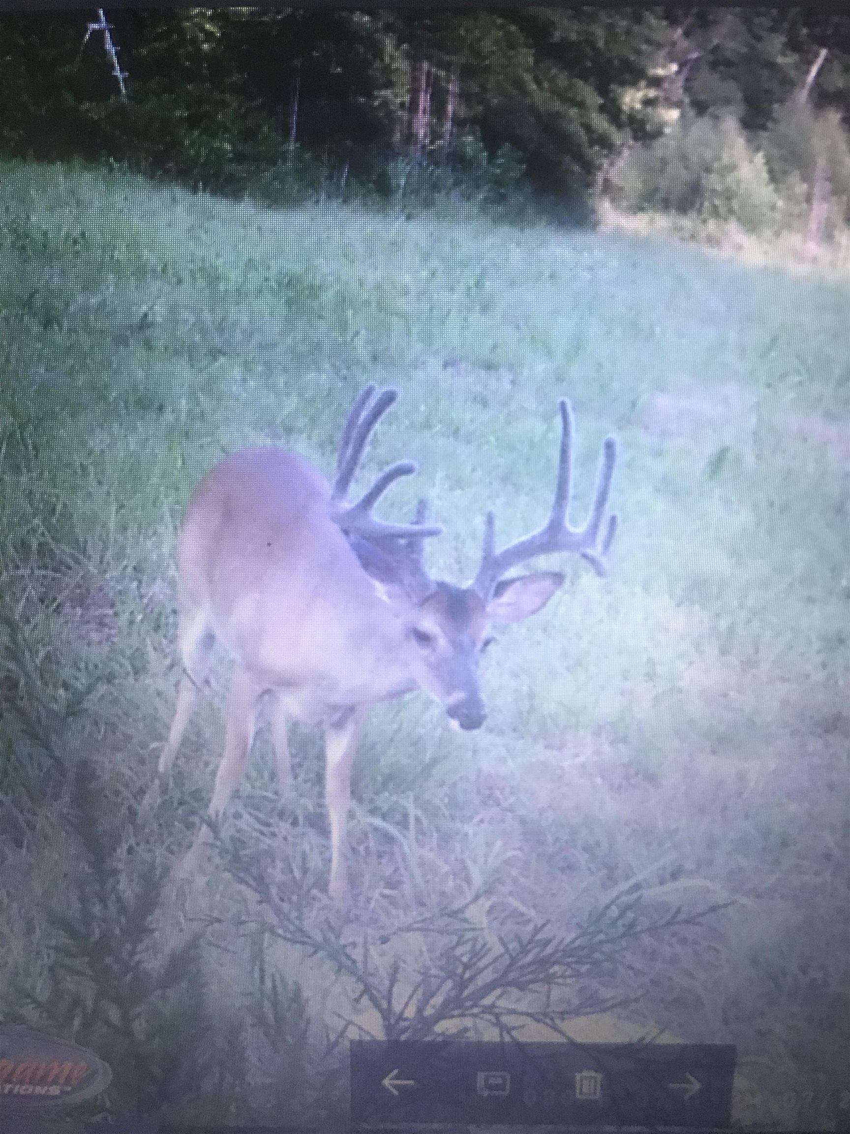 0 Burgess Loop Middleton, TN 38052 - Photo 29 of 29 a view of a backyard of a house