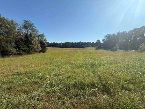 an aerial view of mountains and trees