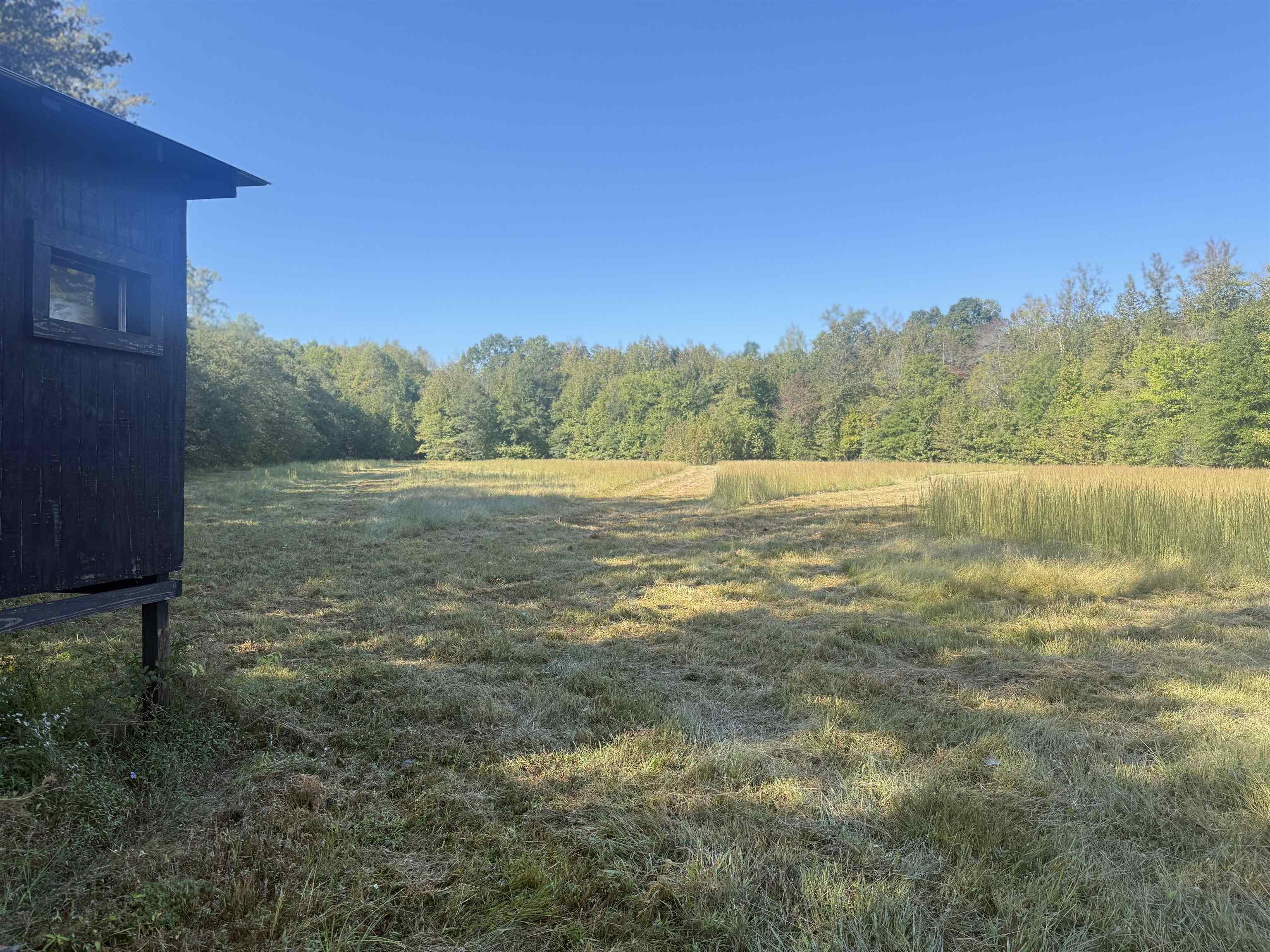 0 Burgess Loop Middleton, TN 38052 - Photo 5 of 29 a view of an outdoor space and a yard