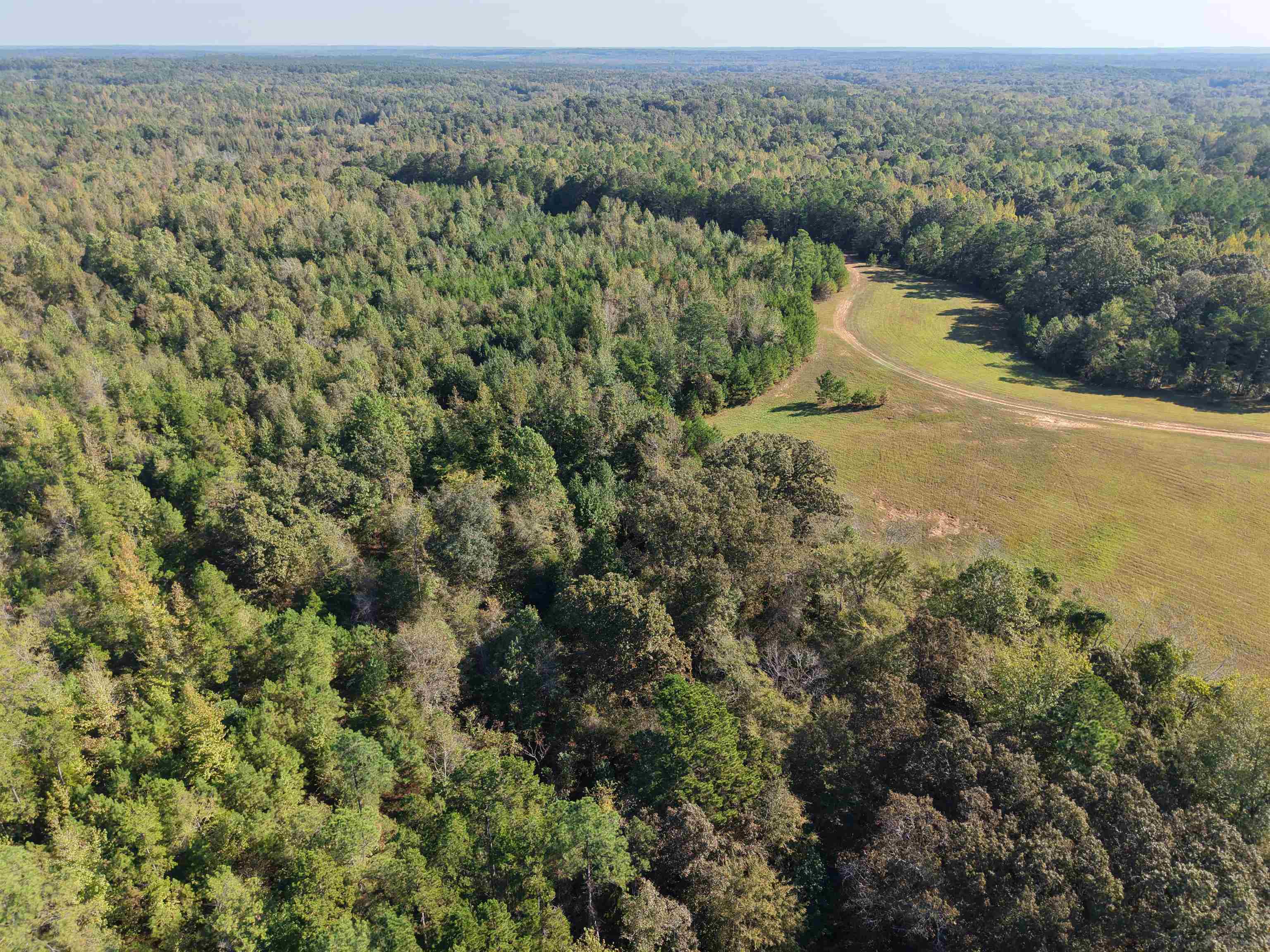0 Burgess Loop Middleton, TN 38052 - Photo 8 of 29 an aerial view of mountains and trees