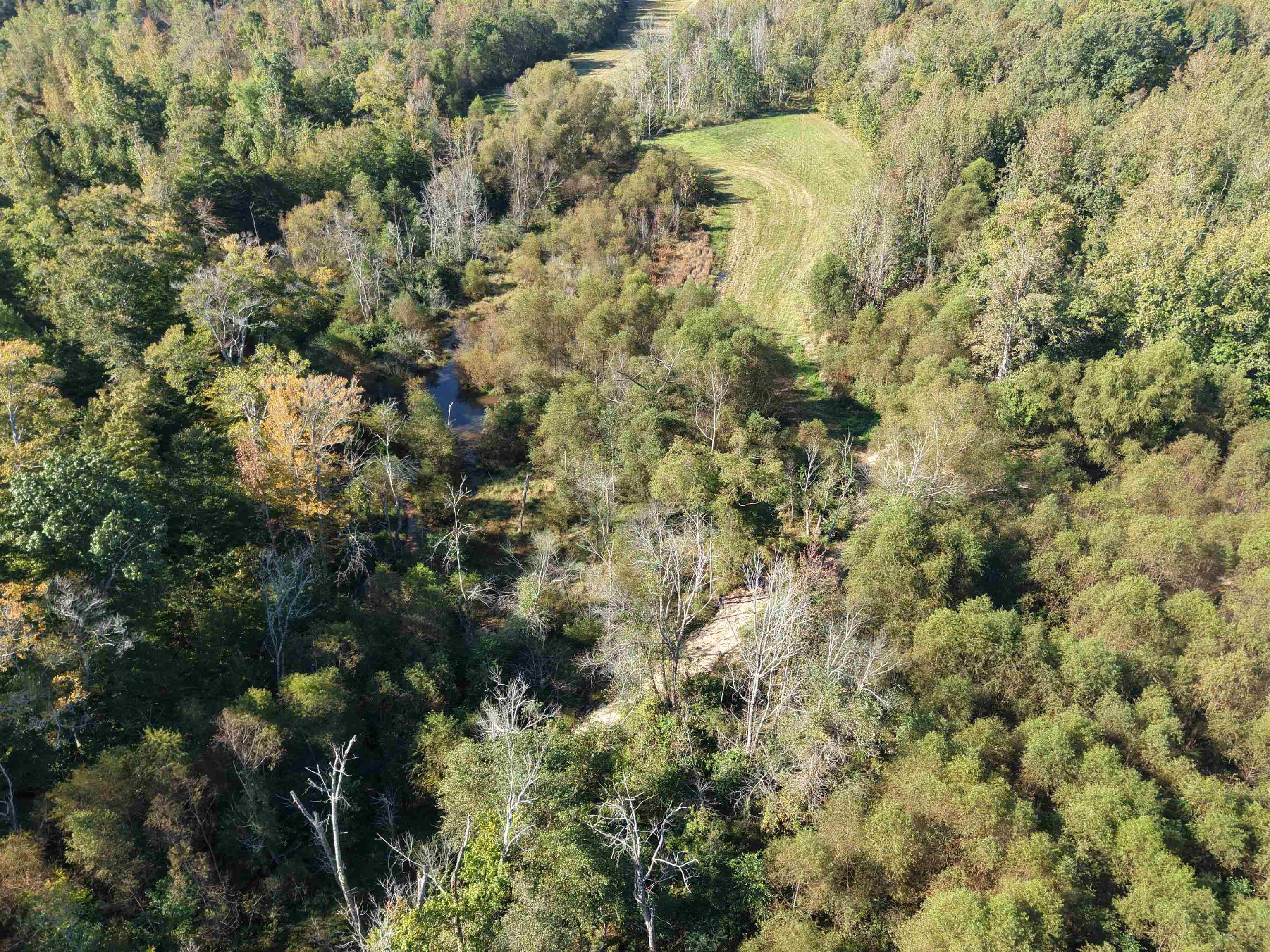 0 Burgess Loop Middleton, TN 38052 - Photo 10 of 29 a view of a covered with trees