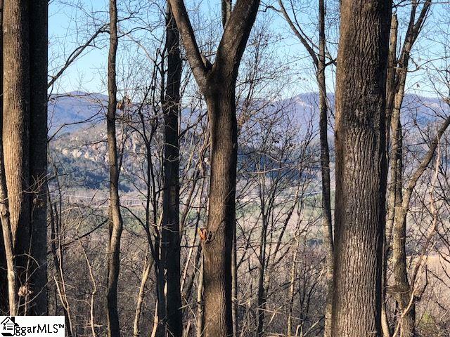 651 Mt Bethel Road Sunset, SC 29685 - Photo 2 of 12