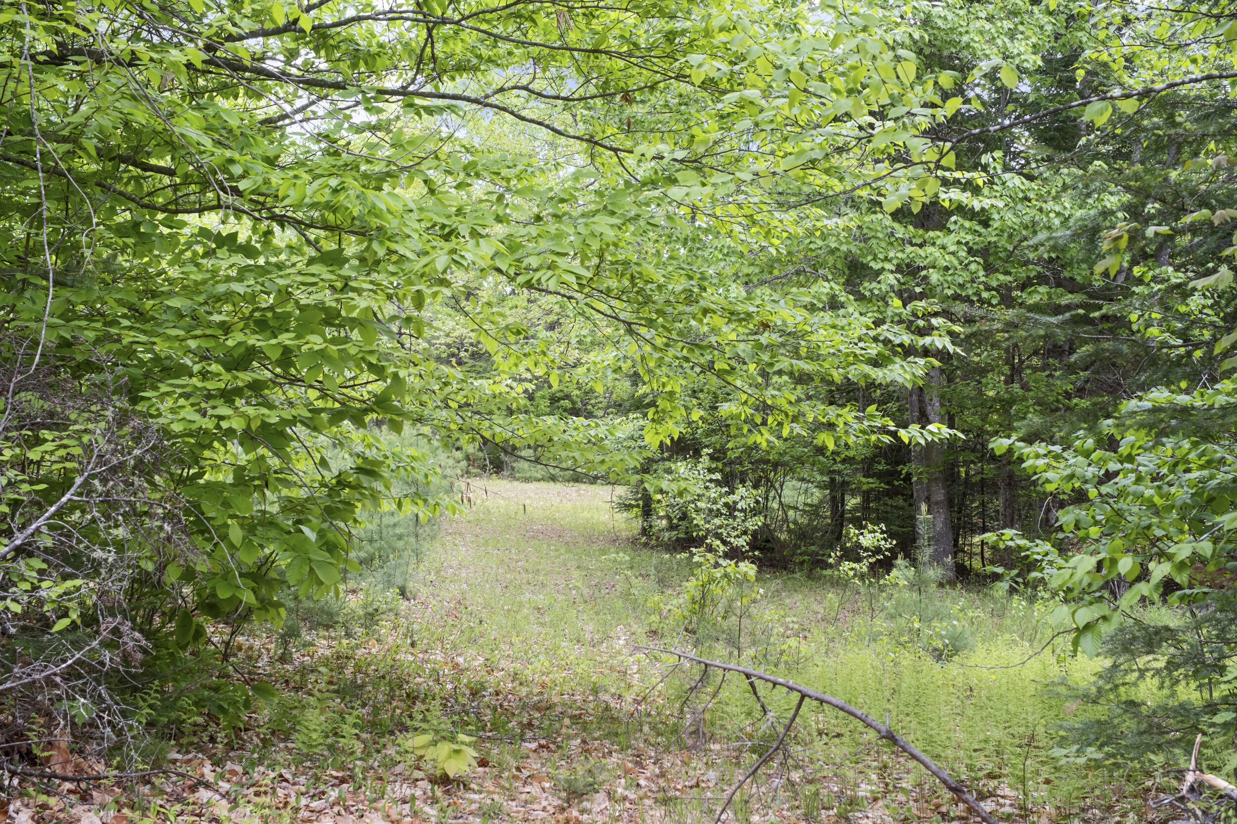 363_s_ridge_rd_vacant_lot_1-3