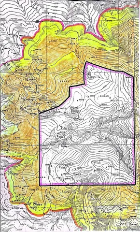 a view of a swimming pool