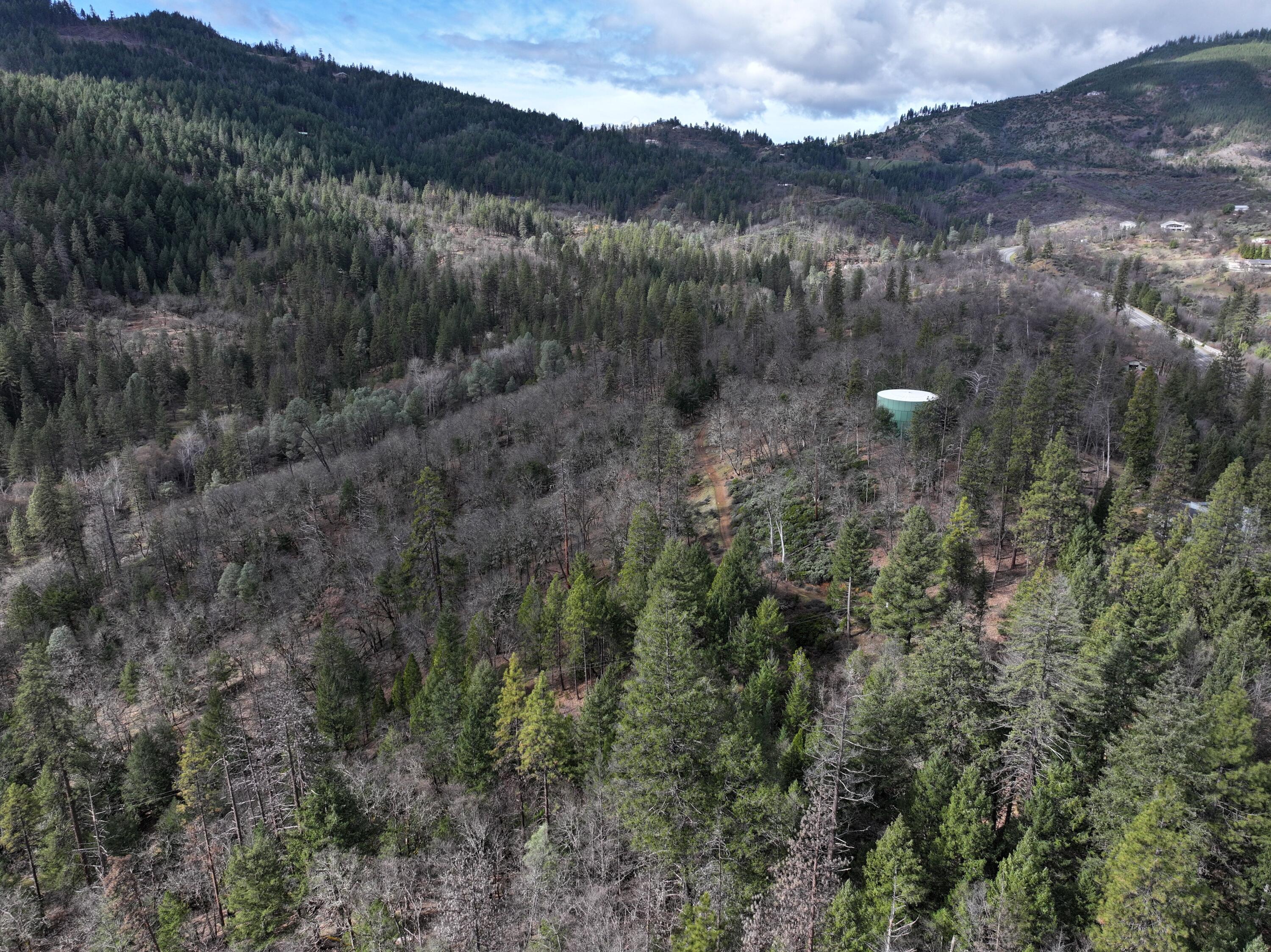 160 Trinco Road Weaverville, CA 96093 - Photo 11 of 51 a view of a forest with mountains in the background