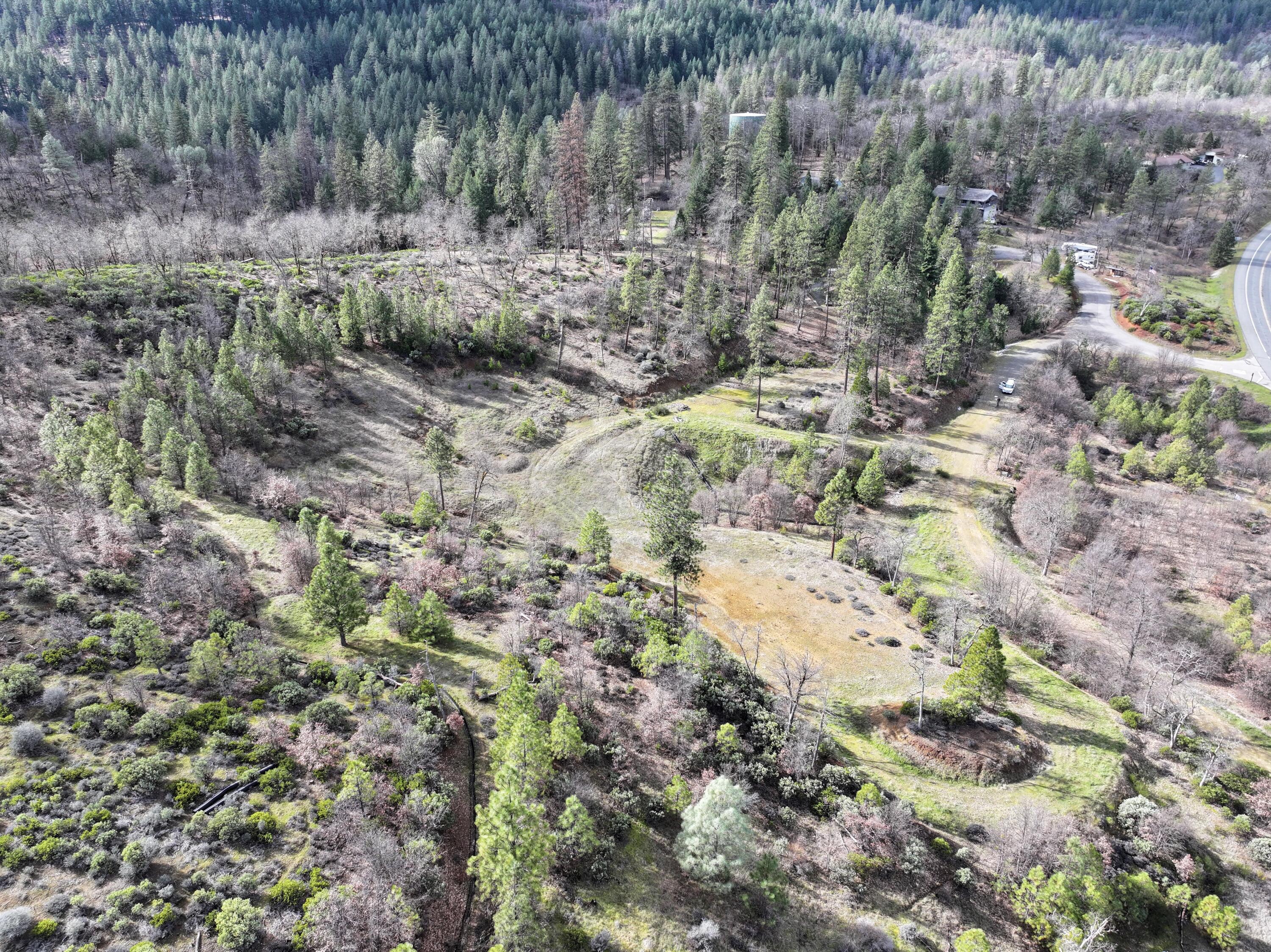 160 Trinco Road Weaverville, CA 96093 - Photo 22 of 51 a view of a forest with a tree