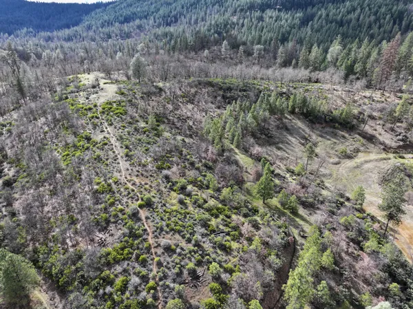 a view of a bunch of trees and houses
