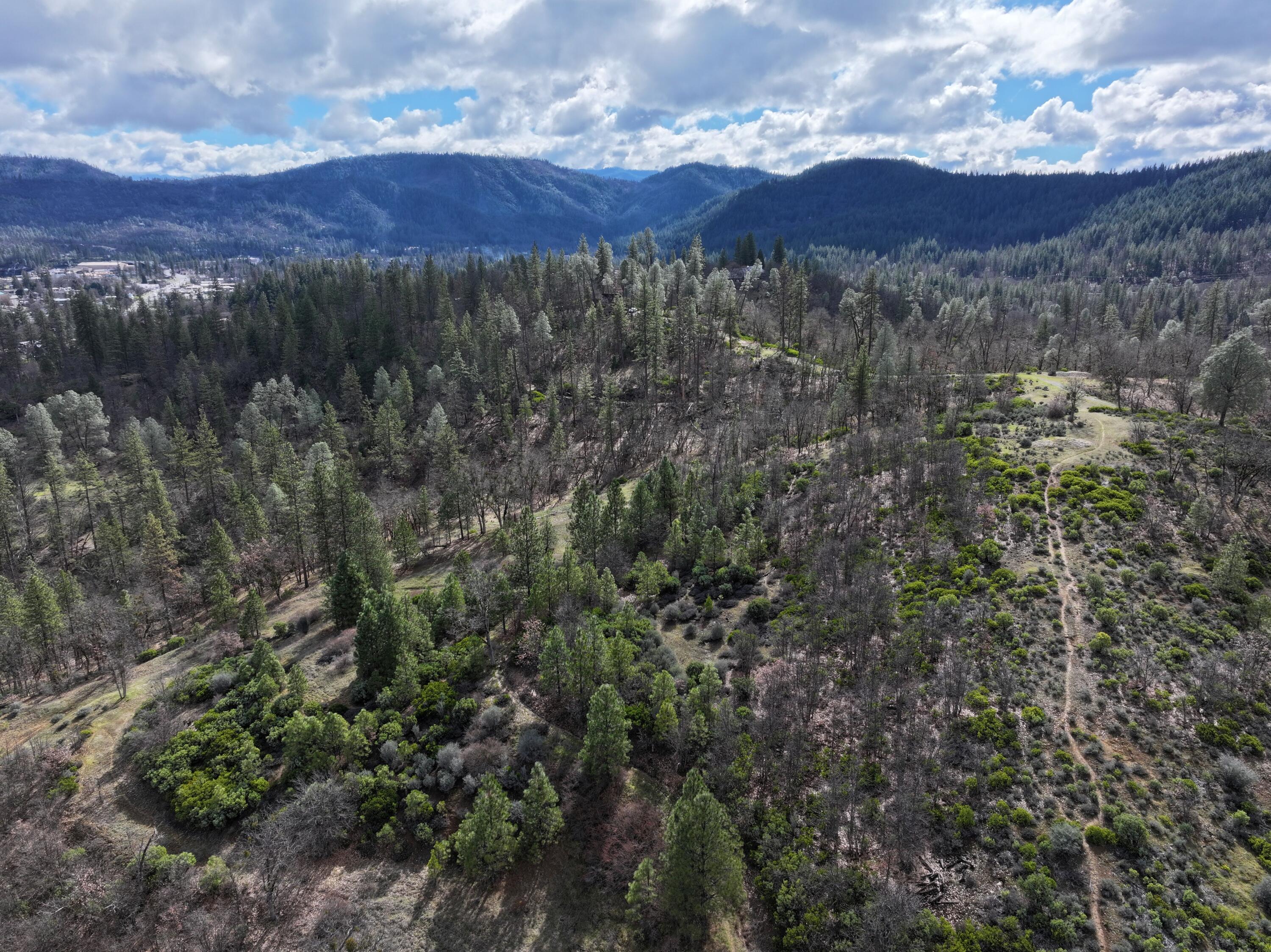 160 Trinco Road Weaverville, CA 96093 - Photo 24 of 51 a view of a bunch of trees and houses