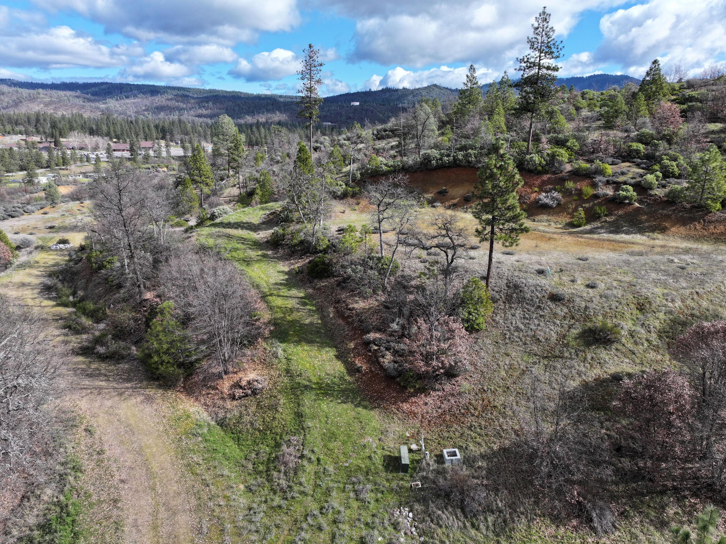 160 Trinco Road Weaverville, CA 96093 - Photo 26 of 51 a view of a yard with a tree