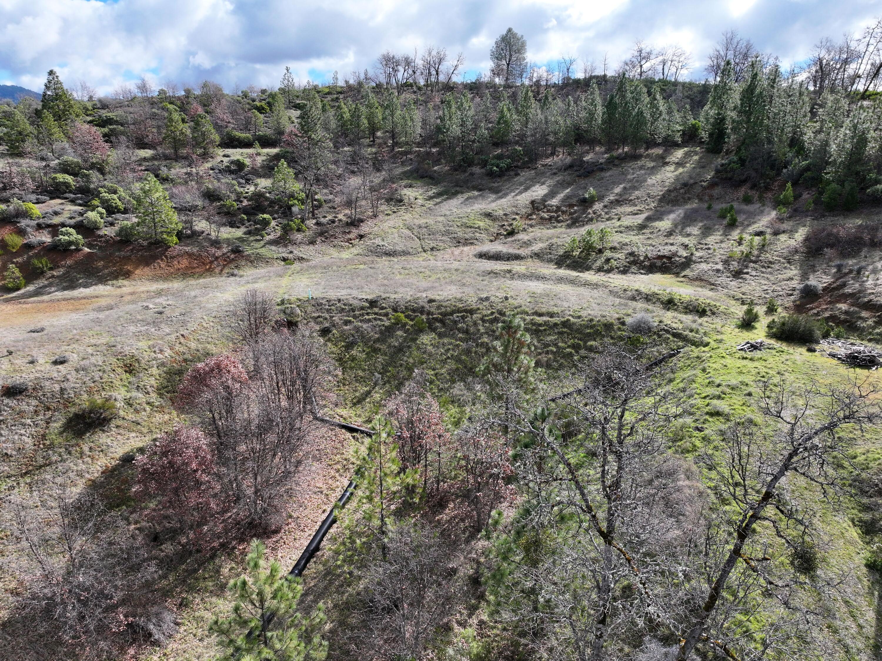 160 Trinco Road Weaverville, CA 96093 - Photo 27 of 51 a view of a forest with a forest