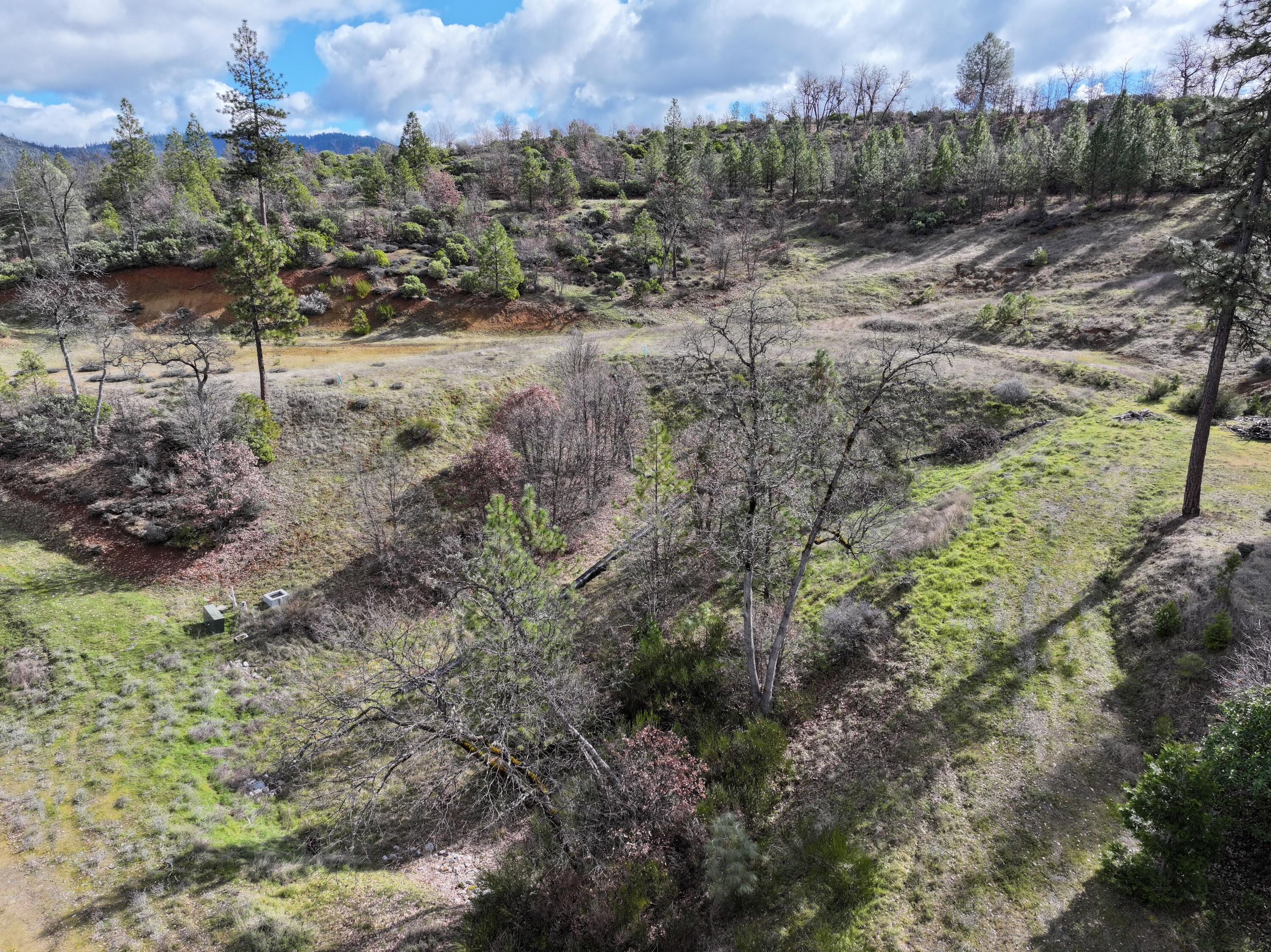 160 Trinco Road Weaverville, CA 96093 - Photo 28 of 51 a view of a dry yard with trees and houses