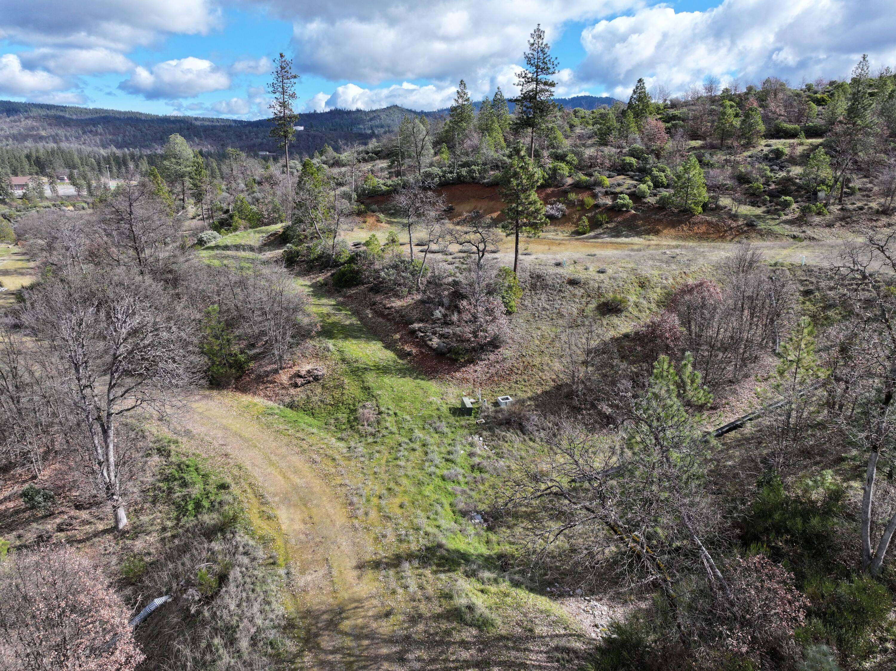 160 Trinco Road Weaverville, CA 96093 - Photo 29 of 51 a view of a yard with green space