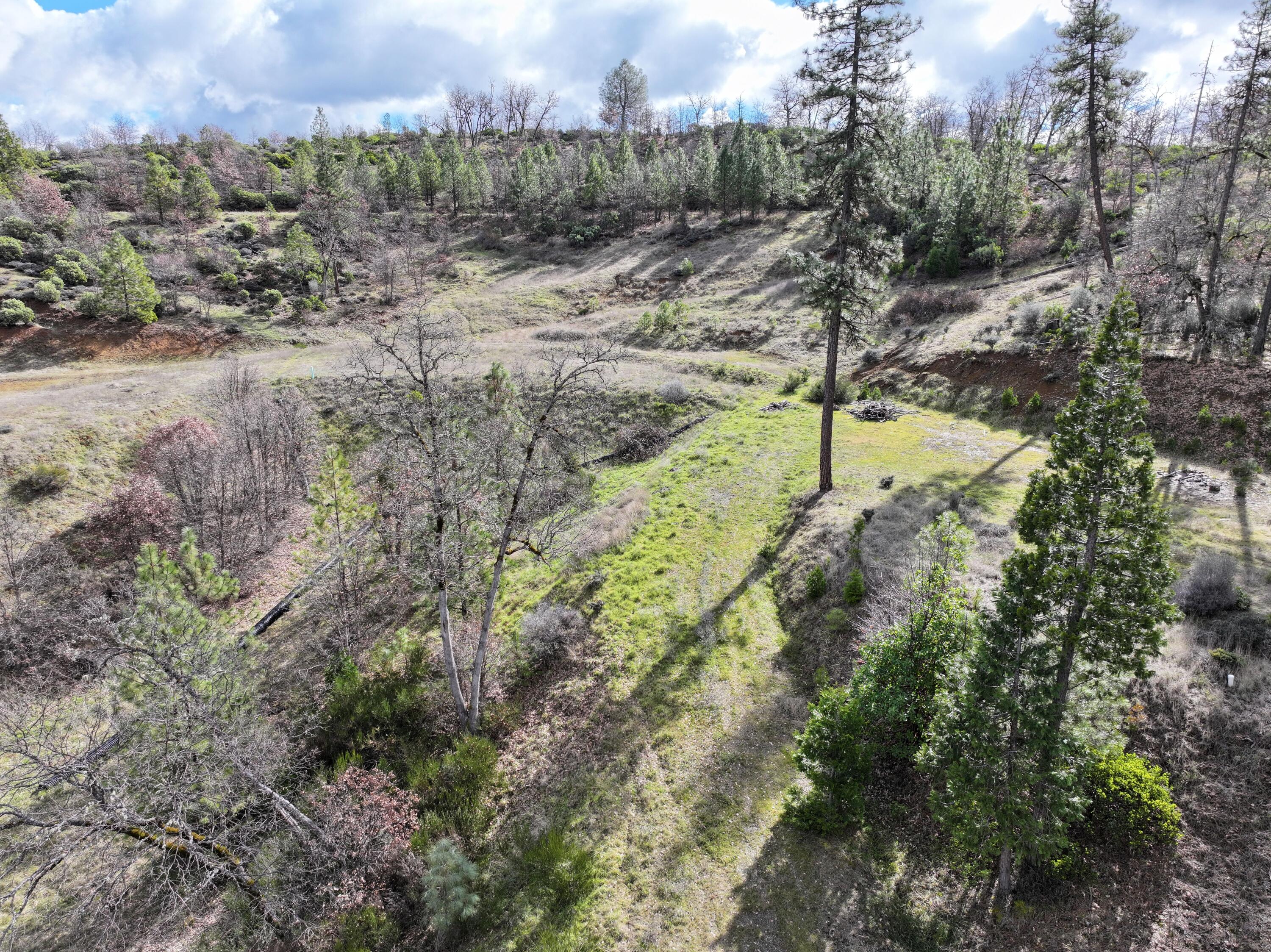160 Trinco Road Weaverville, CA 96093 - Photo 31 of 51 a view of a yard with a trees