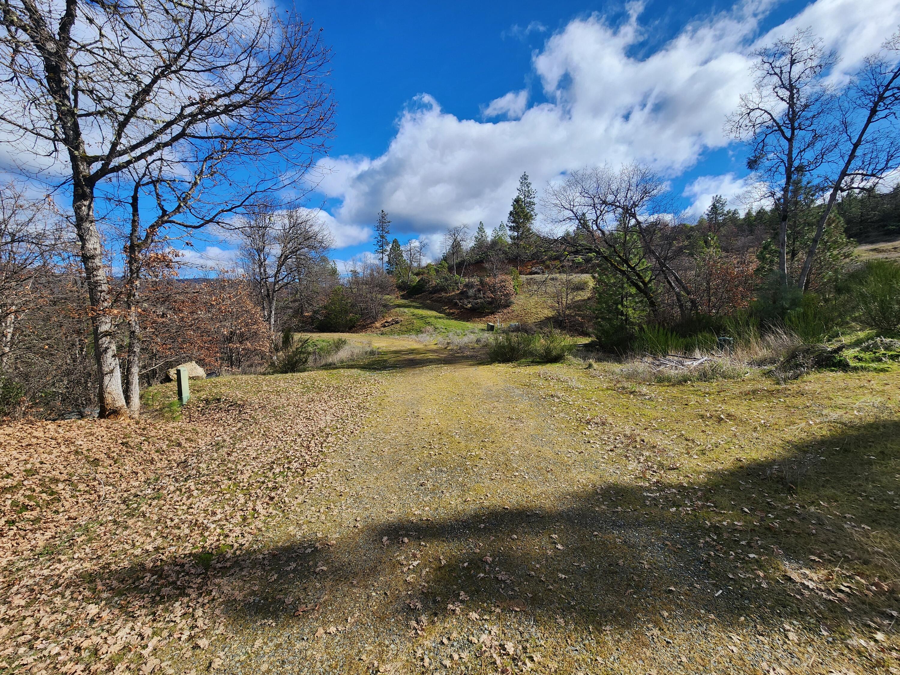 160 Trinco Road Weaverville, CA 96093 - Photo 33 of 51 a view of a yard with an trees
