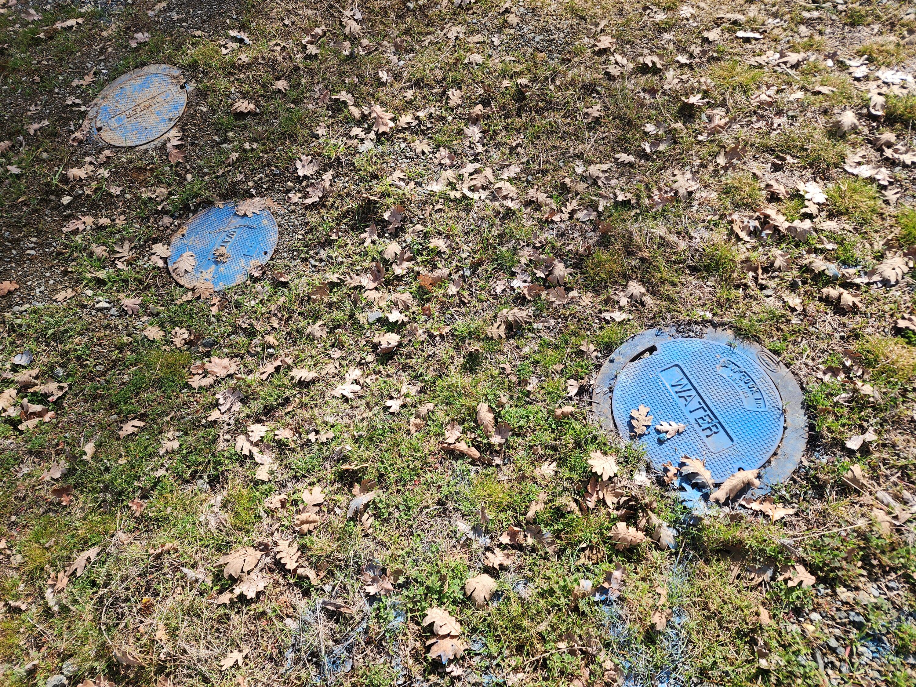 160 Trinco Road Weaverville, CA 96093 - Photo 35 of 51 a view of a tree