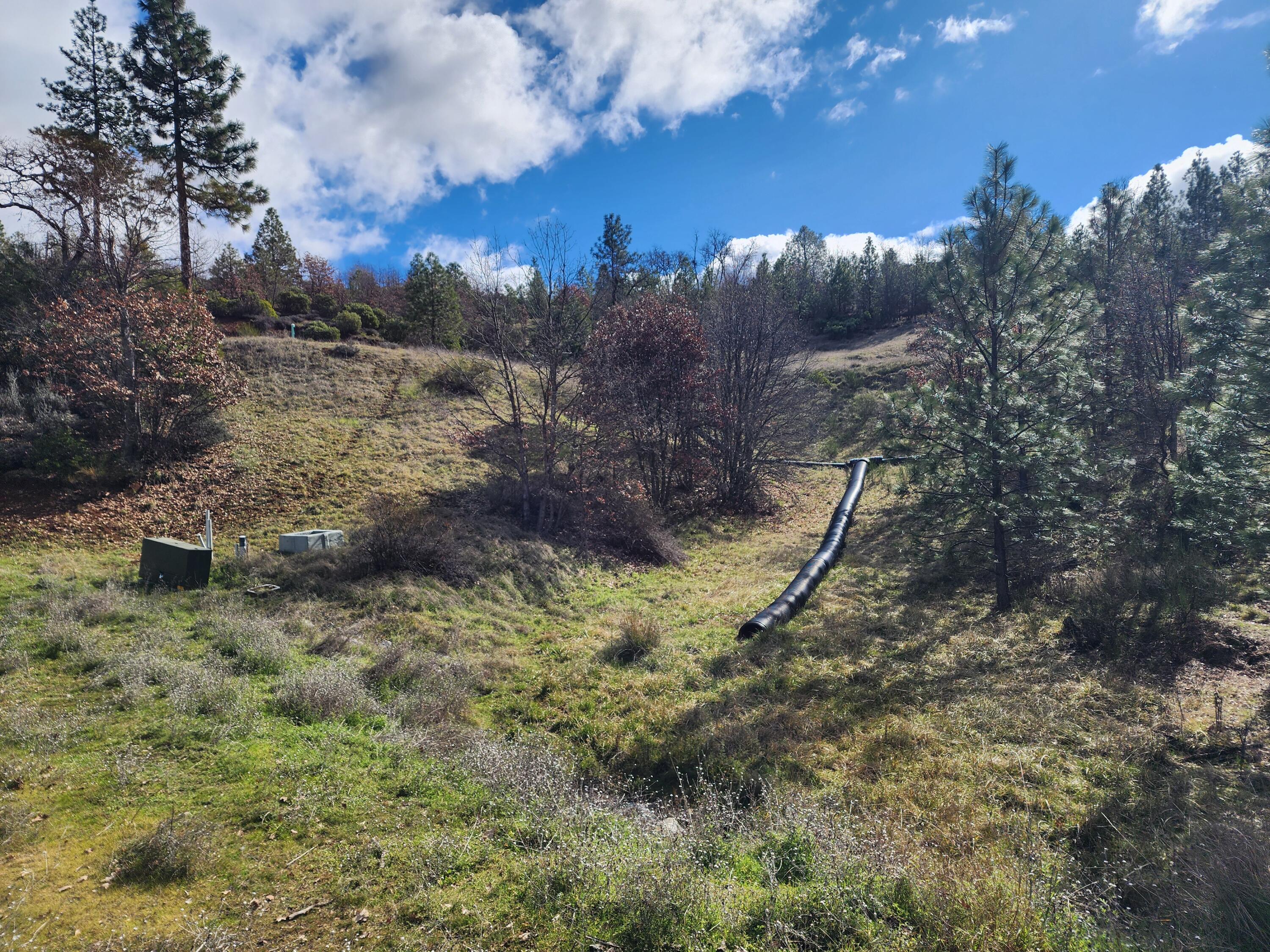 160 Trinco Road Weaverville, CA 96093 - Photo 36 of 51 a view of a yard with a tree