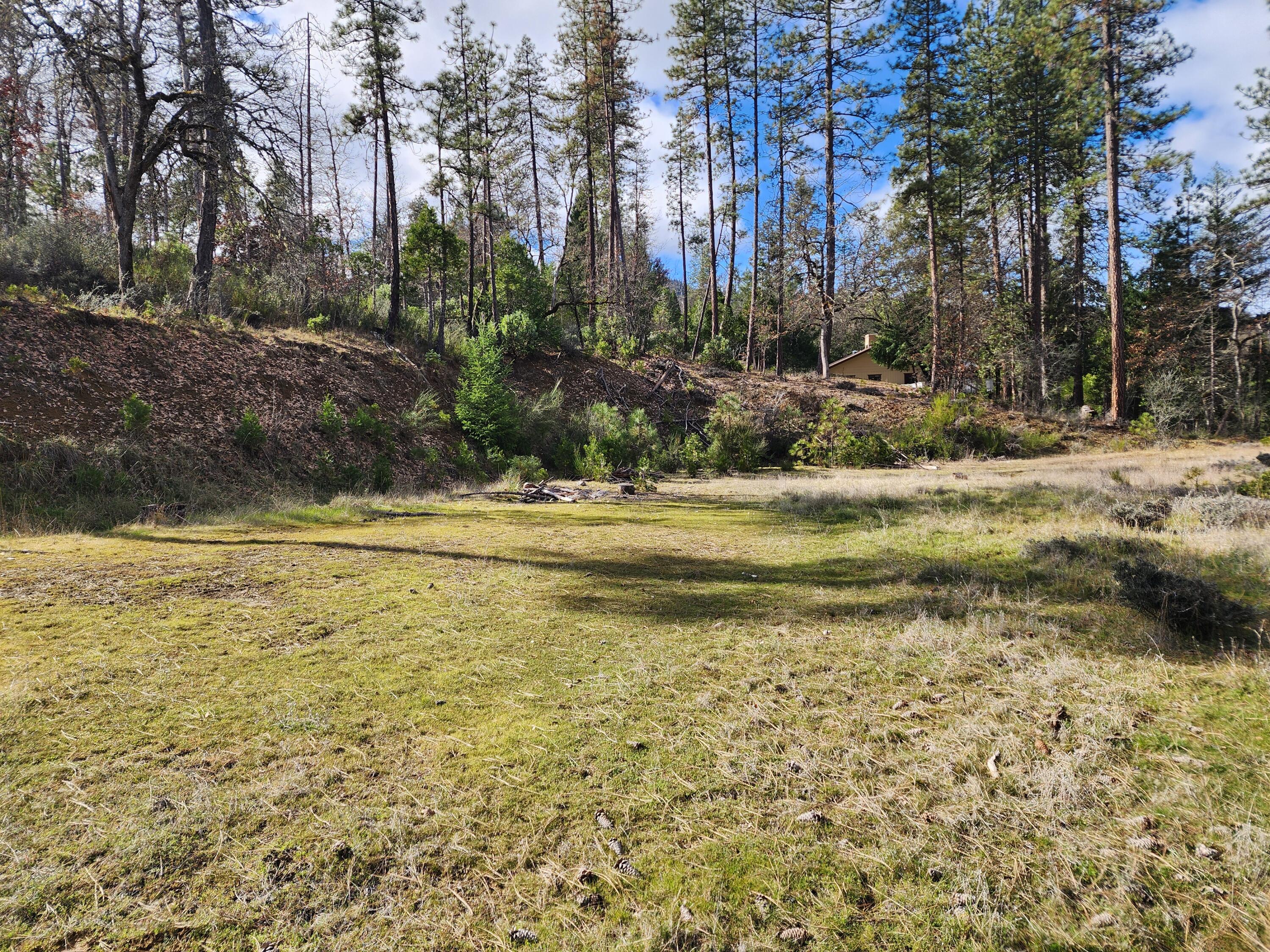 160 Trinco Road Weaverville, CA 96093 - Photo 38 of 51 a view of a yard with large trees