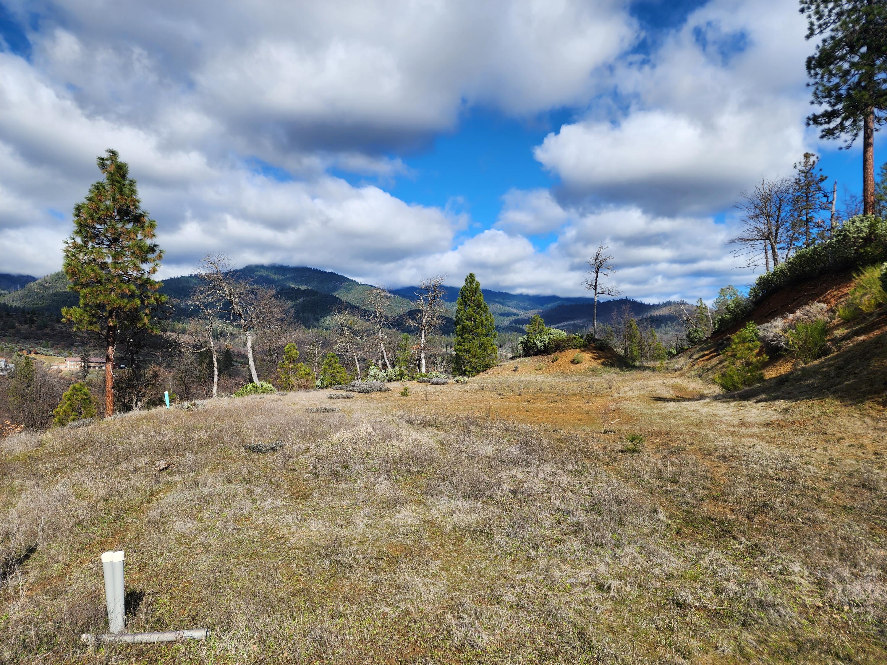160 Trinco Road Weaverville, CA 96093 - Photo 40 of 51 a view of a house with a yard