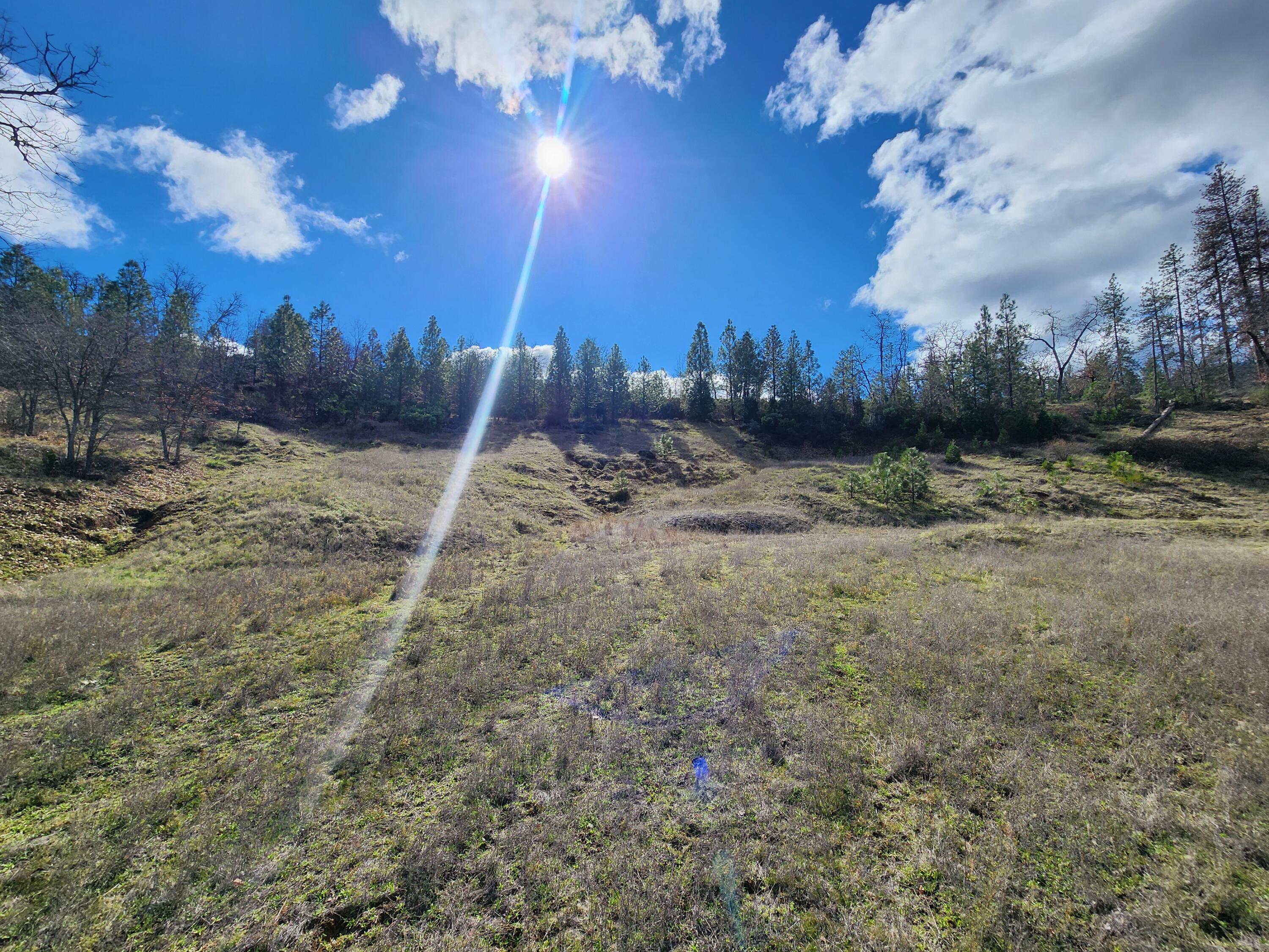 160 Trinco Road Weaverville, CA 96093 - Photo 41 of 51 a view of a yard