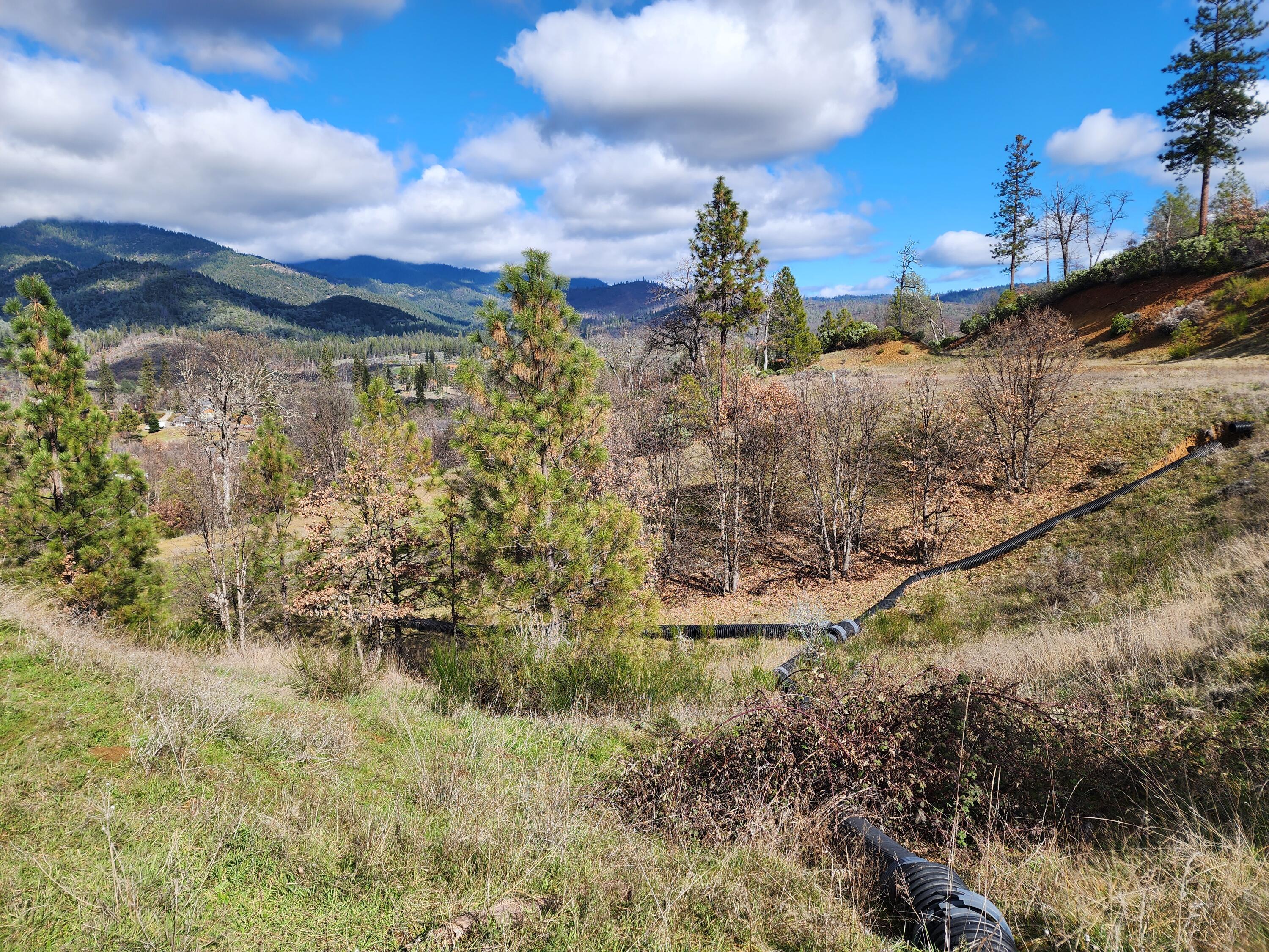 160 Trinco Road Weaverville, CA 96093 - Photo 42 of 51 a view of a houses with a yard