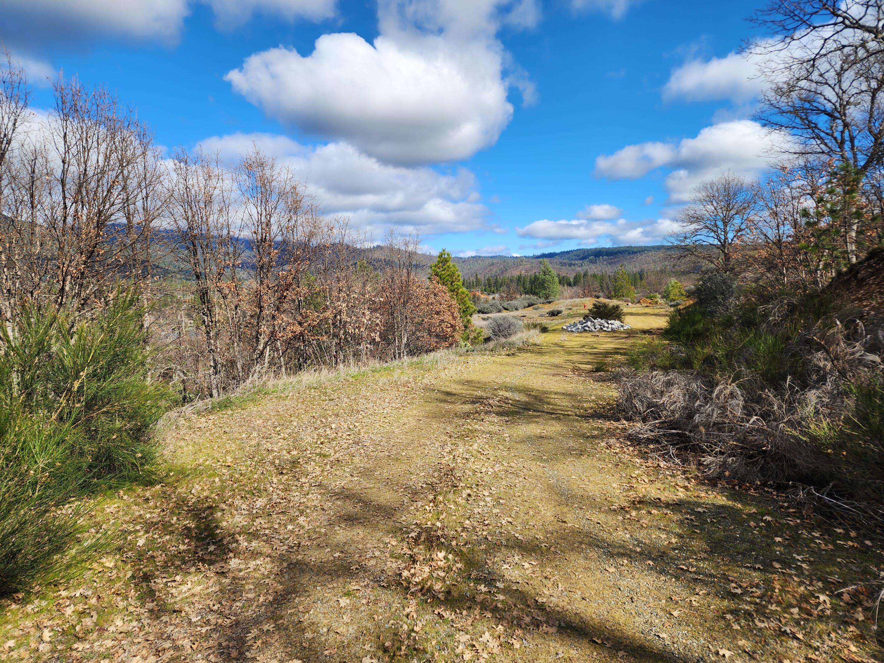 160 Trinco Road Weaverville, CA 96093 - Photo 43 of 51