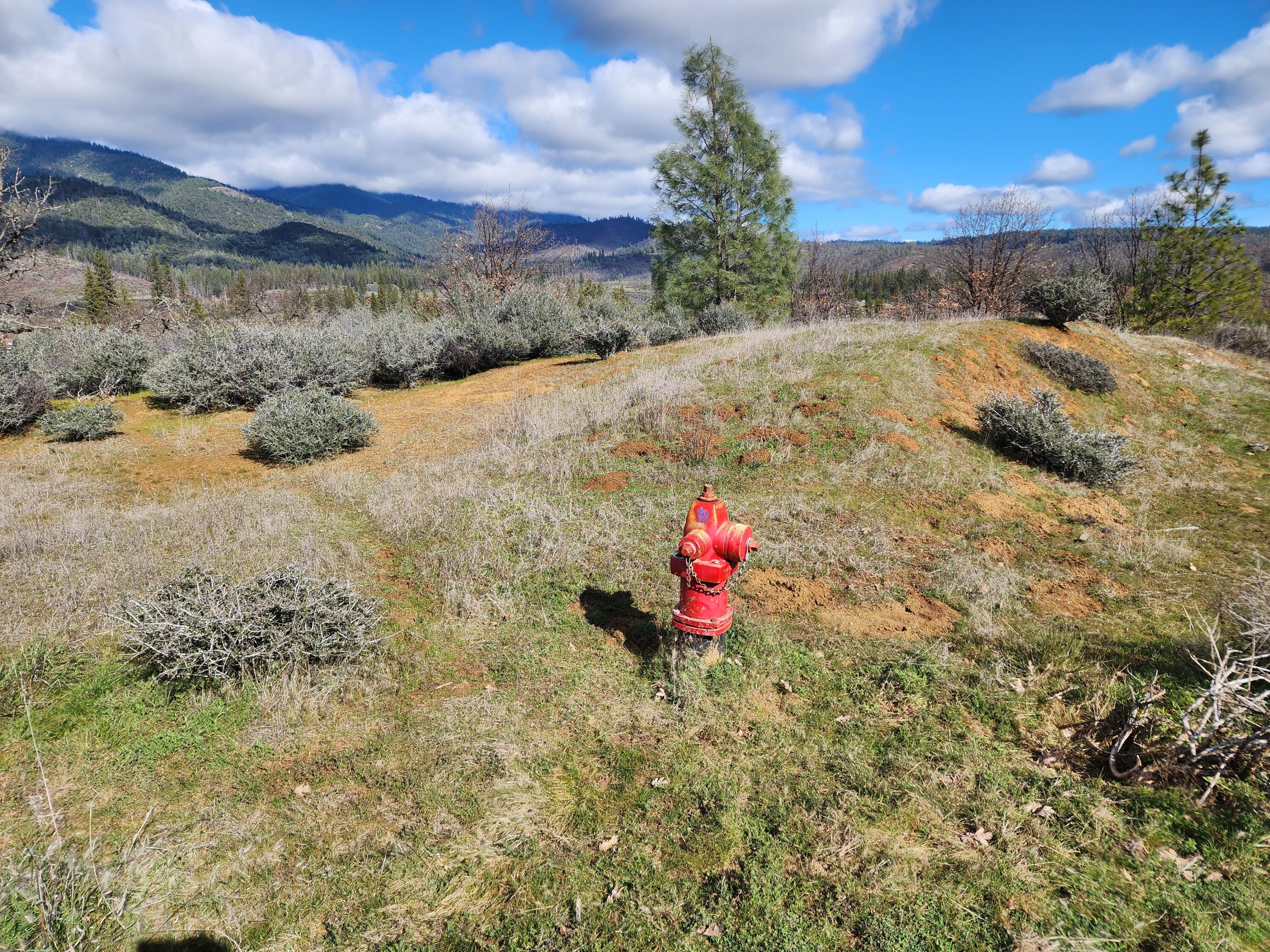 160 Trinco Road Weaverville, CA 96093 - Photo 45 of 51 a view of a backyard of the house