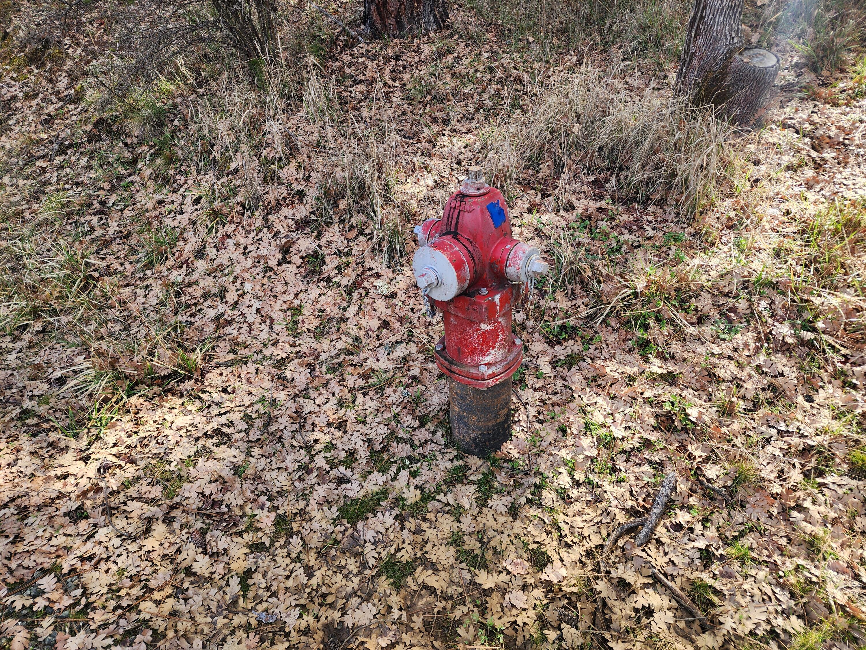 160 Trinco Road Weaverville, CA 96093 - Photo 47 of 51