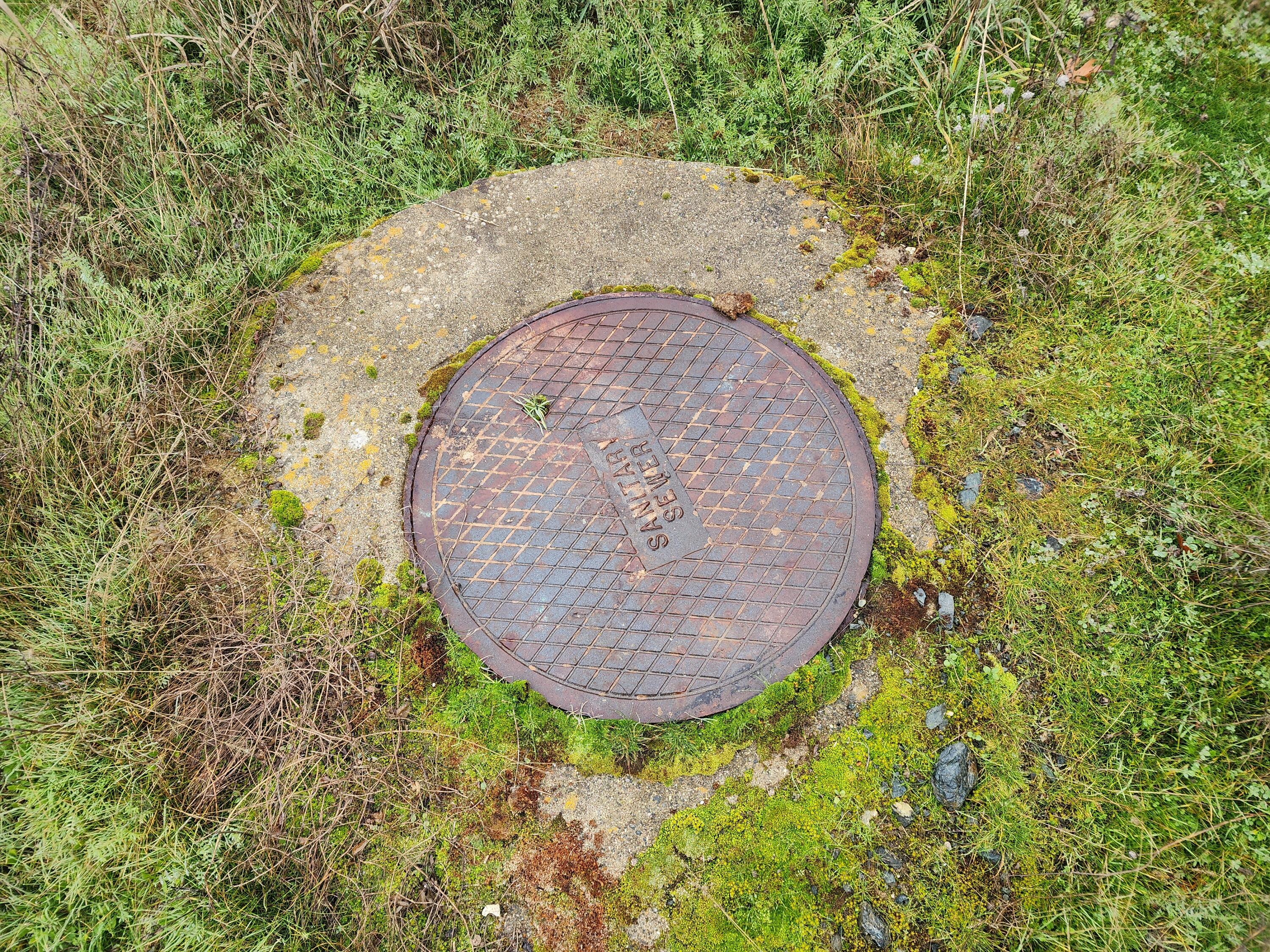 160 Trinco Road Weaverville, CA 96093 - Photo 49 of 51 a view of a backyard of a house