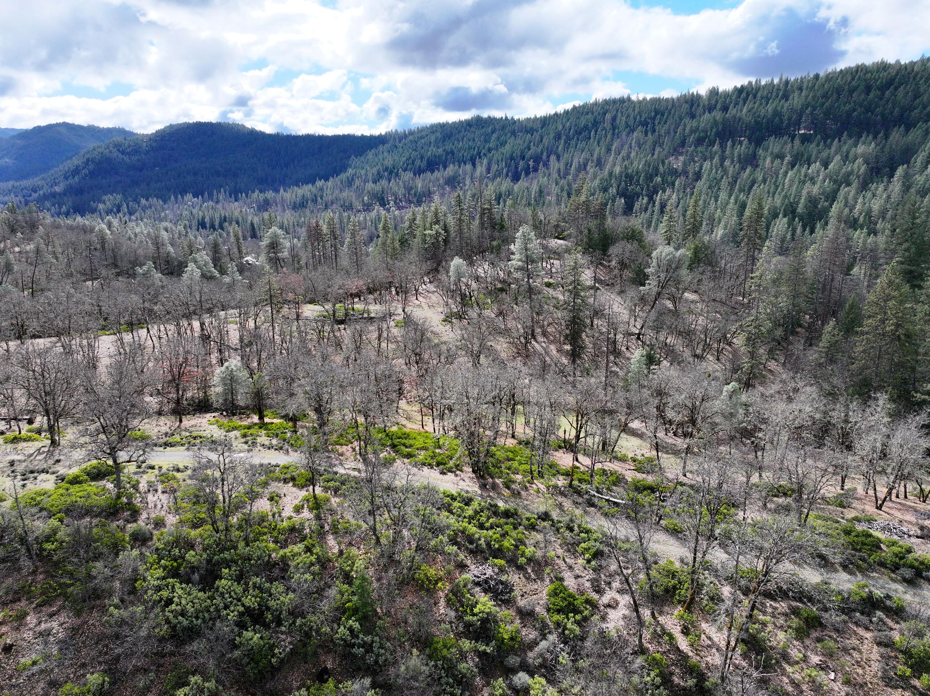160 Trinco Road Weaverville, CA 96093 - Photo 6 of 51 a view of a bunch of trees and houses