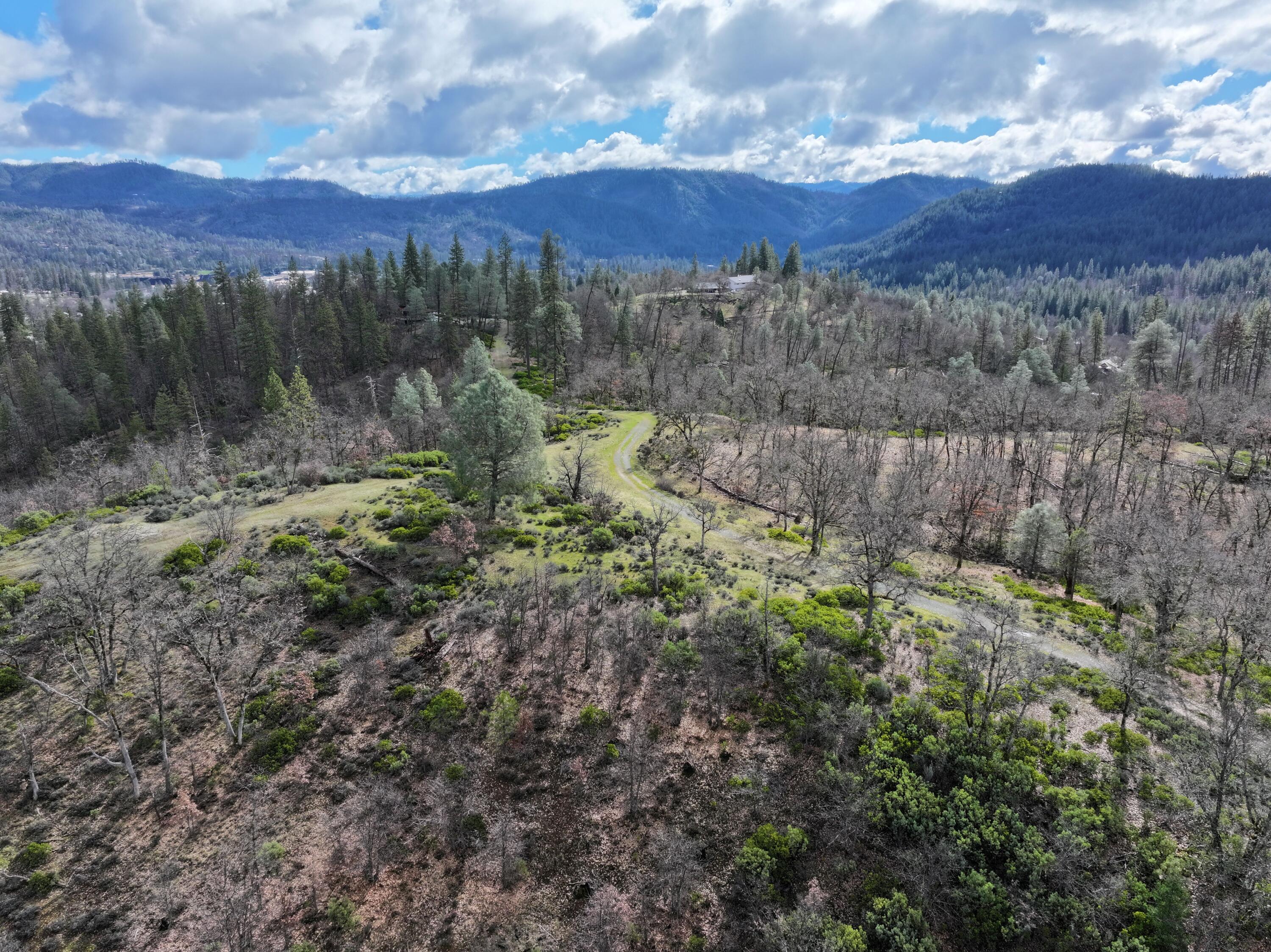 160 Trinco Road Weaverville, CA 96093 - Photo 7 of 51 a view of a lush green forest with mountains and lush green forest