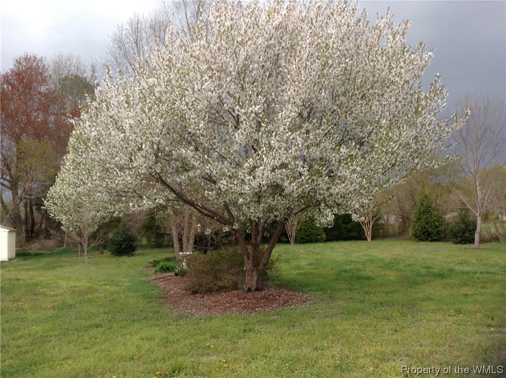 4950 Chestnut Fork Road Gloucester, VA 23061 - Photo 37 of 48 Gallery Image 37