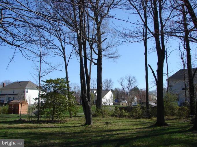 7009 Ridgeway Drive Springfield, VA 22150 - Photo 7 of 8 No Deck yet - View from the side and back yard