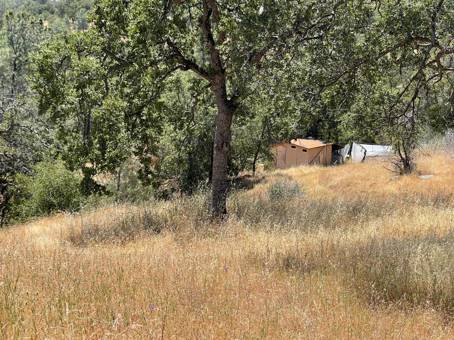 3608 Ramblin Road Mariposa, CA 95338 - Photo 3 of 11 Gallery Image 3