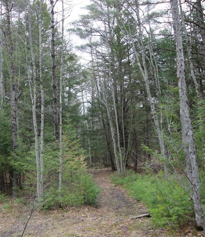 0 Rangers Way Cumberland Center, ME 04021 - Photo 3 of 5 Photo