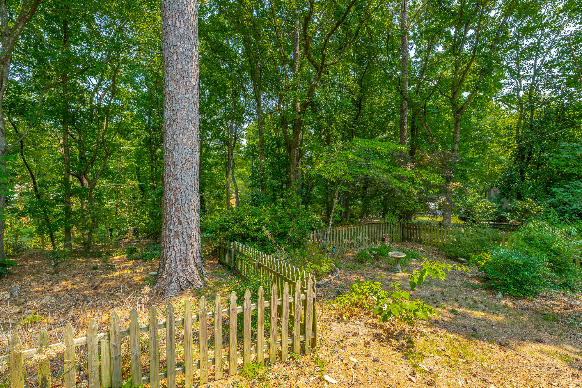 4180 Gann Store Road Hixson, TN 37343 - Photo 51 of 53 4180 Gann Store Road HD-77