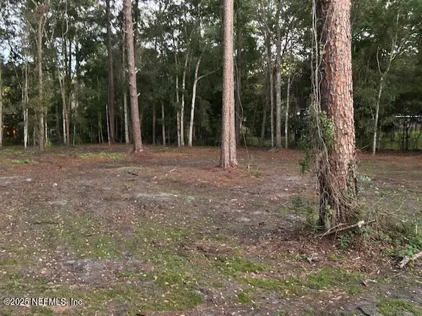 a view of a yard with trees