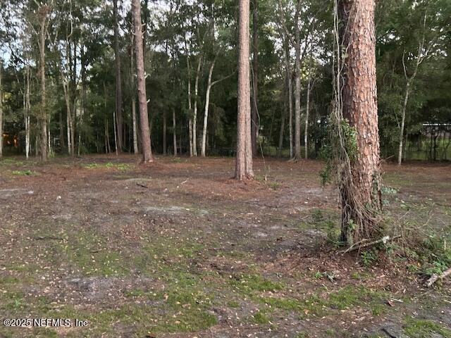 54376 Lisa Drive Callahan, FL 32011 - Photo 28 of 32 a view of a yard with trees