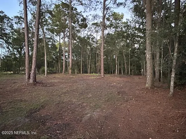 a view of outdoor space with trees