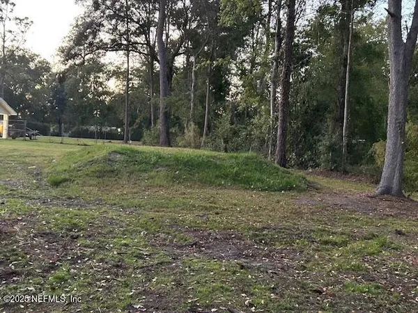 a view of outdoor space and yard