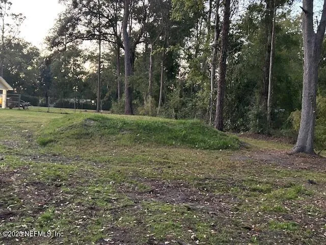 a view of outdoor space and yard