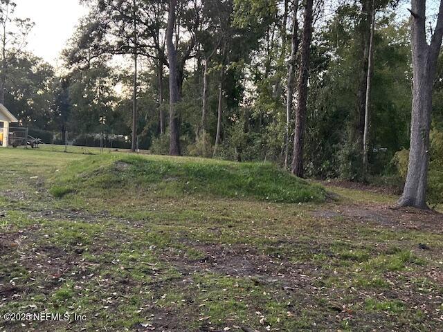 54376 Lisa Drive Callahan, FL 32011 - Photo 31 of 32 a view of outdoor space and yard