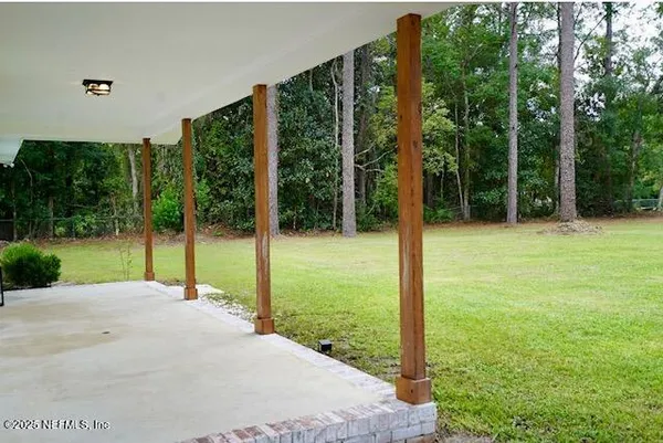 a view of a garden with tall trees