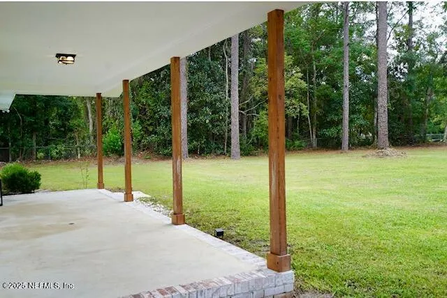 a view of a garden with tall trees