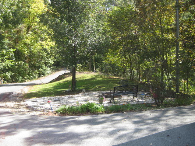 266 Reece Lane Seymour, TN 37865 - Photo 5 of 34 IMG_4808