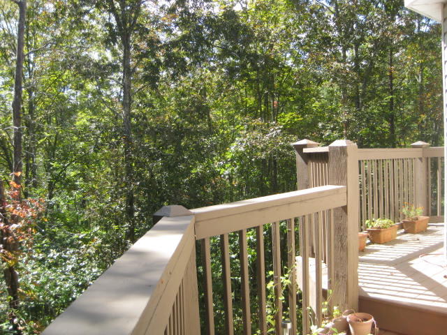 266 Reece Lane Seymour, TN 37865 - Photo 6 of 34 IMG_4809