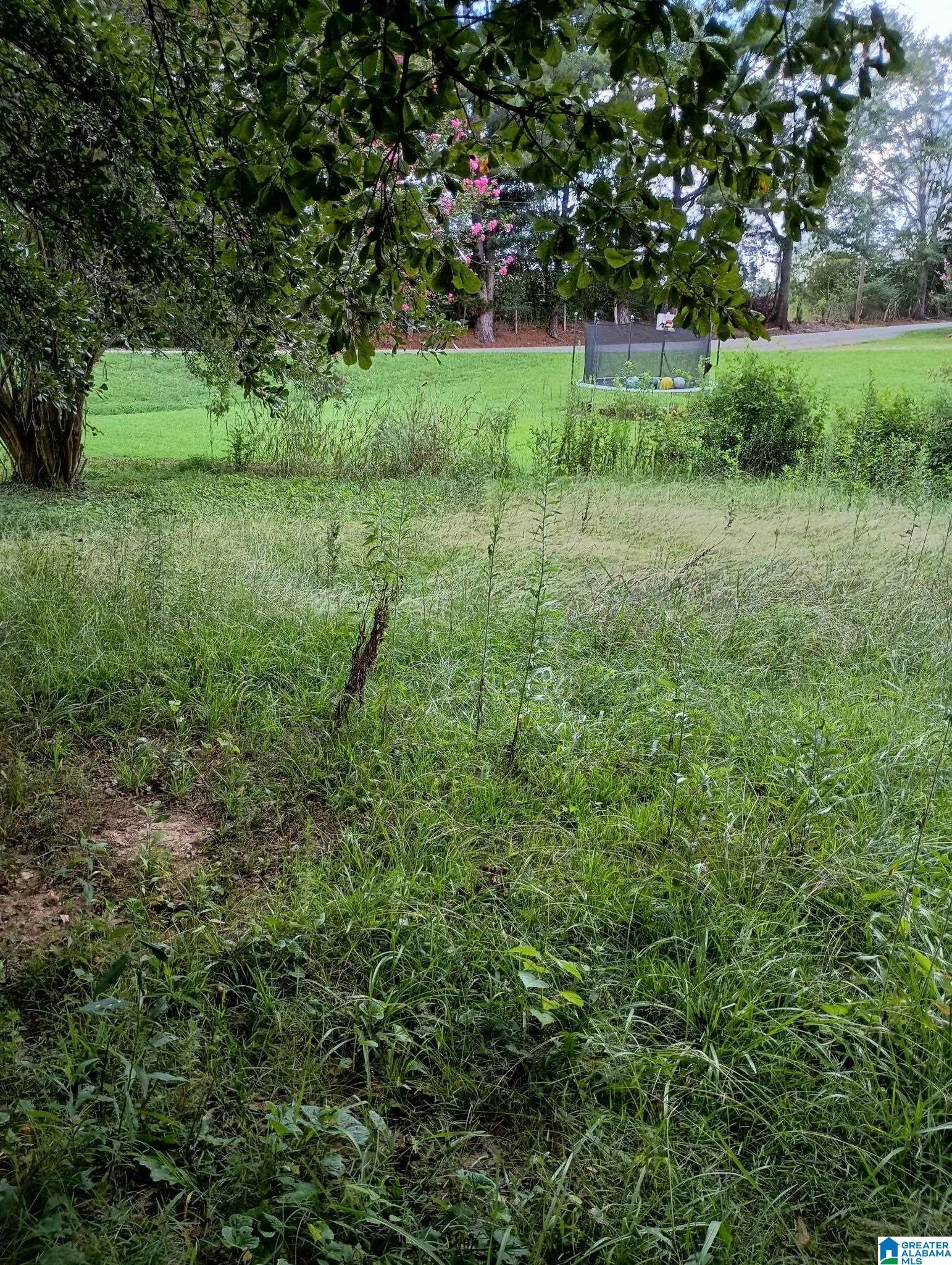 37308 Highway 79 Cleveland, AL 35049 - Photo 13 of 15